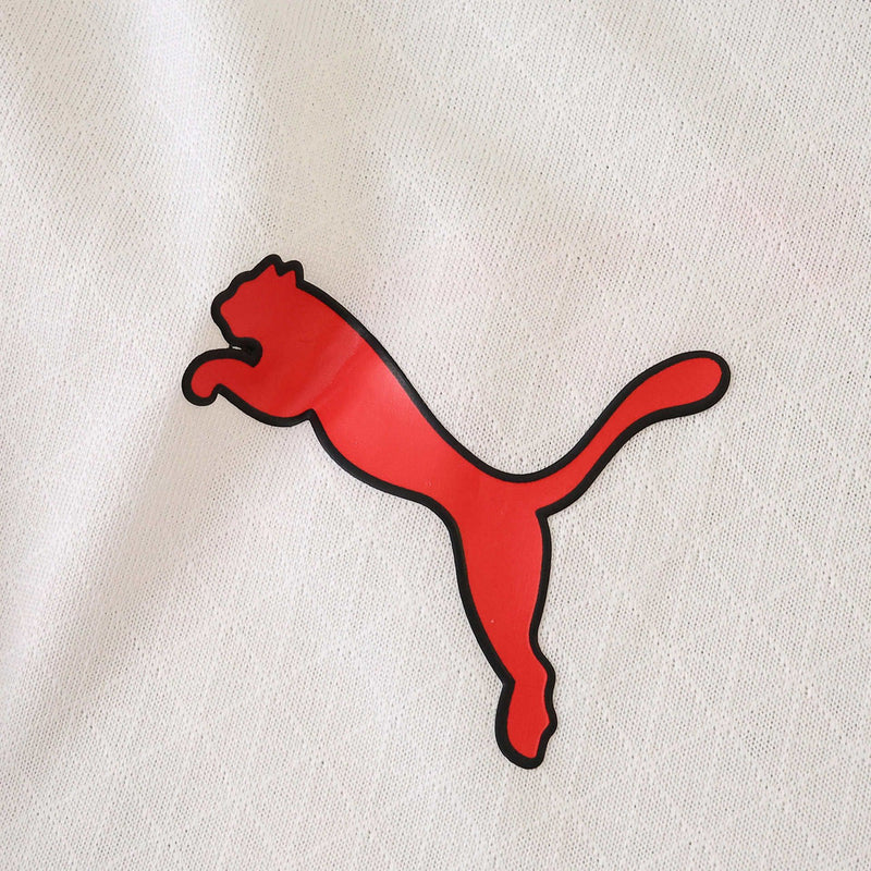 Camisa Milan 2025/26 III Third - Jogador Manga Longa Puma Diavoli