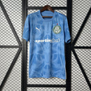 Camisa Palmeiras 25/26 Goleiro Azul - Torcedor