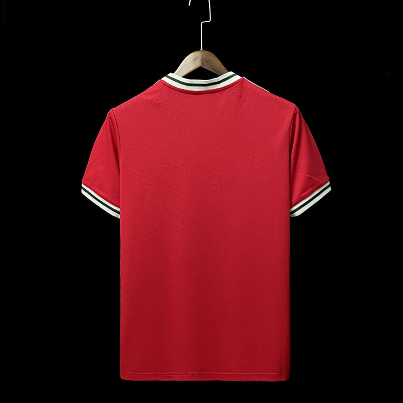 Camisa País de Gales 2022/23 I Home - Torcedor