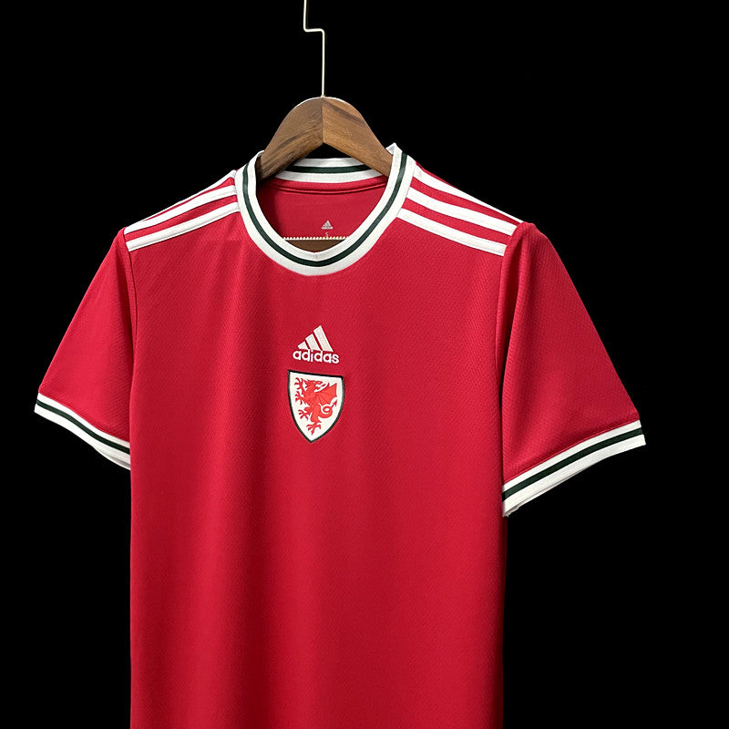 Camisa País de Gales 2022/23 I Home - Torcedor