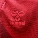 Camisa Dinamarca 2022/23 I Home - Torcedor