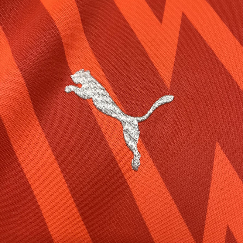 Camisa Palmeiras 2024/25 Goleiro Laranja - Torcedor