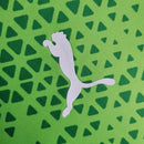 Camisa Palmeiras 2024/25 Treino - Torcedor