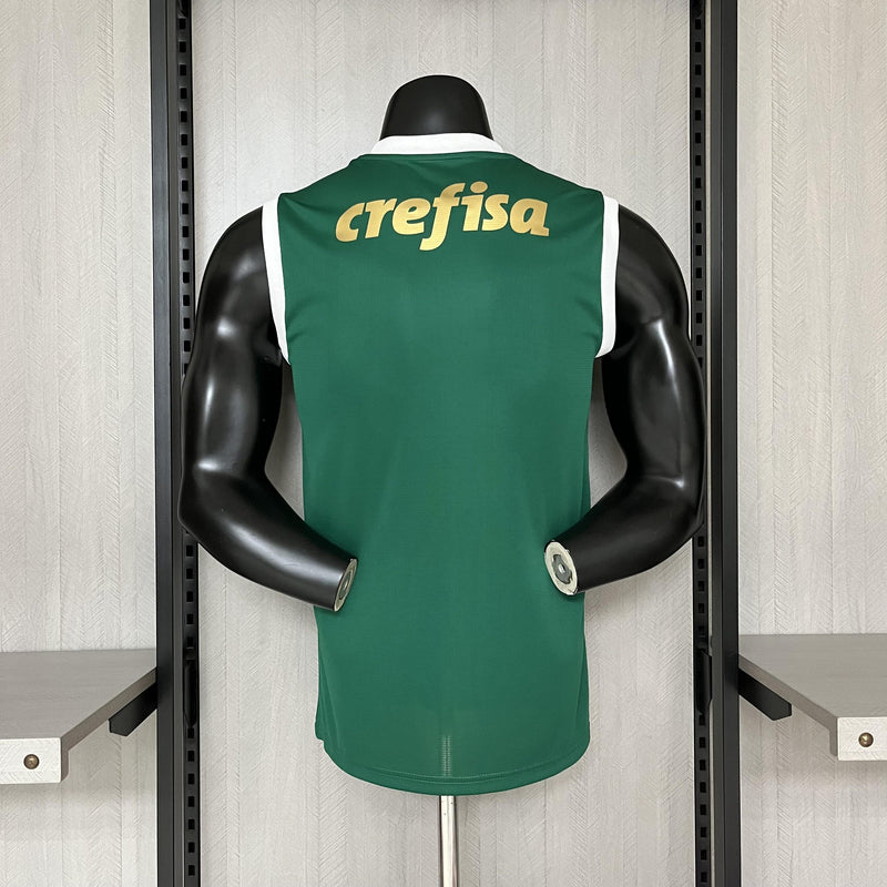 Camisa Palmeiras 2024/25 I Regata - Torcedor
