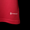 Camisa País de Gales 2022/23 I Home - Torcedor