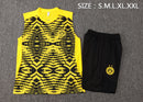 24/25 Conjunto Treino Borussia Dortmund Regata - Amarelo