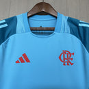Camisa Flamengo 2025/26 Treino Azul Claro - Feminina