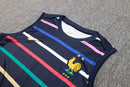 24/25 Conjunto Treino França - Regata - Colorido