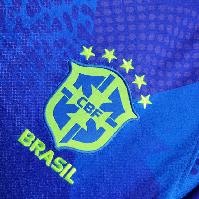 Camisa Brasil 25/26 Copa América Feminina - Torcedor Masculina