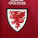 Camisa País de Gales 2022/23 I Home - Torcedor