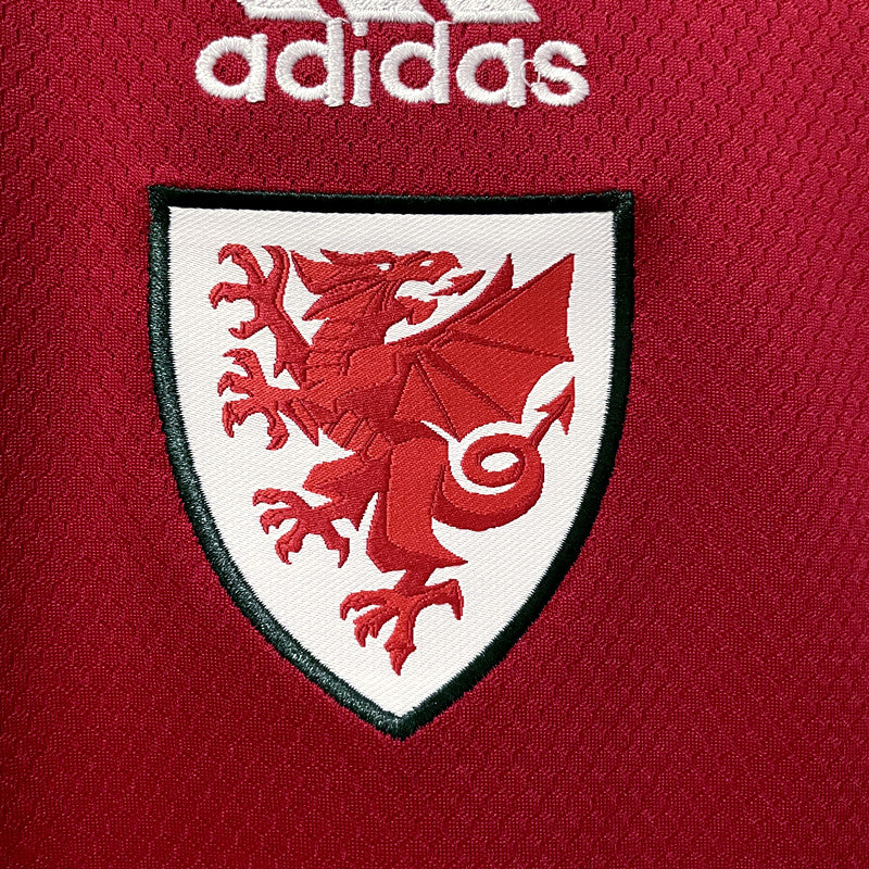 Camisa País de Gales 2022/23 I Home - Torcedor
