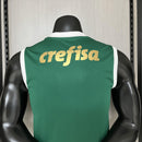 Camisa Palmeiras 2024/25 I Regata - Torcedor