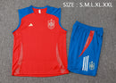 24/25 Conjunto Treino Espanha Regata - Vermelho