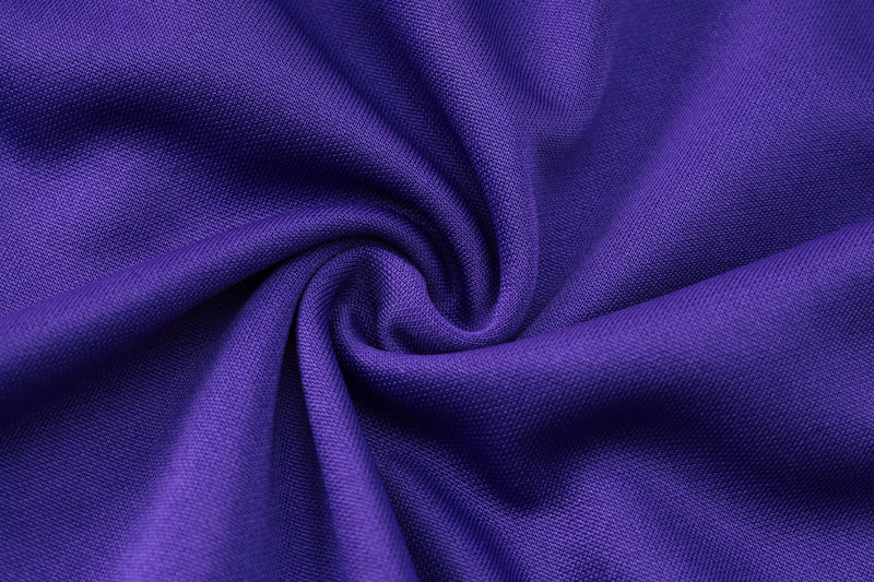 24/25 Conjunto Treino Alemanha - Frio Zíper Curto - Roxo Com Preto